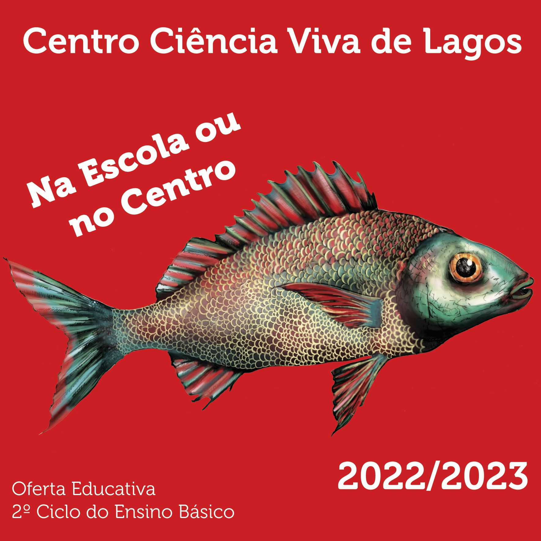 Oferta Educativa_2º Cilco