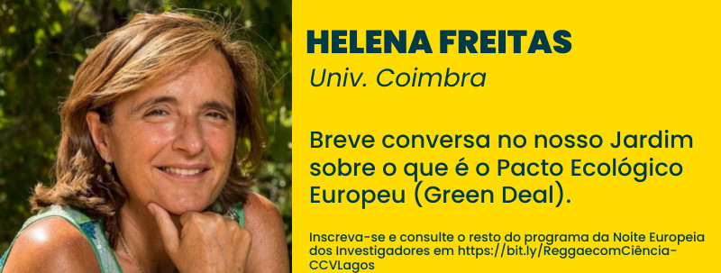 Helena Freitas