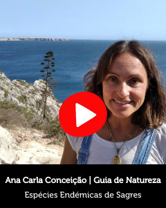 Ana Carla Conceição